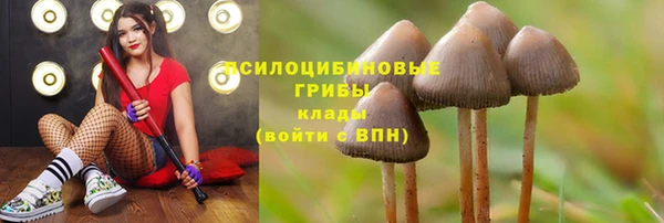 COCAINE Покровск
