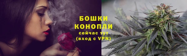 дурь Пересвет