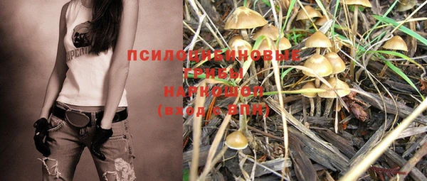 дурь Пересвет