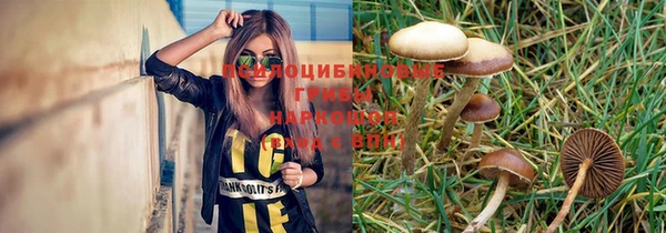гидра Покров