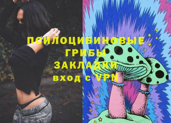 гидра Покров