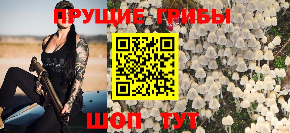Галлюциногенные грибы Cubensis  Галлюциногенные грибы GOLDEN TEACHER  что такое наркотик  Вход с VPN  Благовещенск 