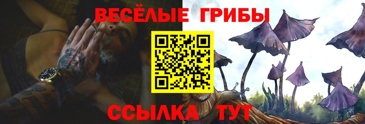 Псилоцибиновые грибы прущие грибы Благовещенск